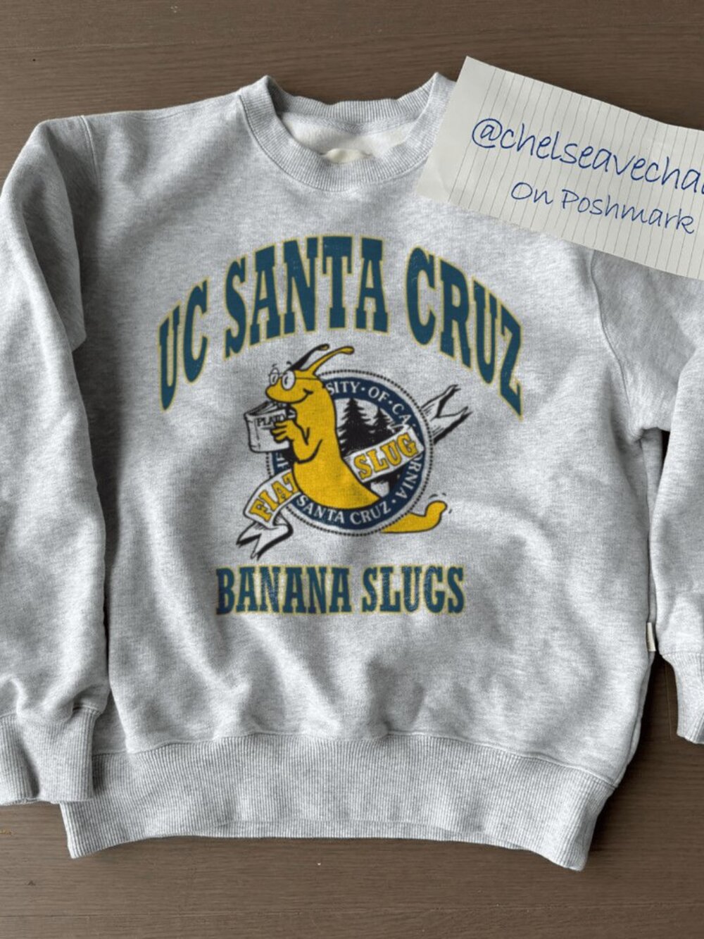Vintage 90s University of California Santa Cruz Slugs UC Santa Cruz Sweatshirt